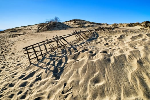 Beautiful view of nordic sand dunes and protective fences at Curonian spit, Nida, Klaipeda, Lithuania. Buried wood, desert and sand, sunny blue sky. Sand patterns