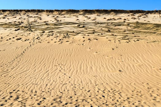 Patterns of lines, waves, footprints and dry grass in nordic dunes of Curonian spit, Nida, Klaipeda, Lithuania. White sand and desert, eternity, desolate, beautiful, calm feeling.