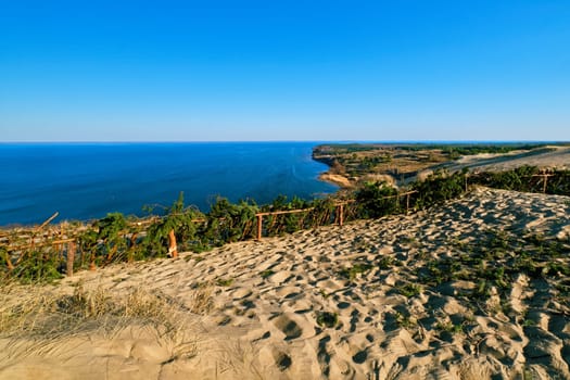 Landscape of Curonian spit, Nida, Klaipeda, Lithiania and Baltic sea. View of sand dunes, protective fences, pine branches, footprints, early spring flora.