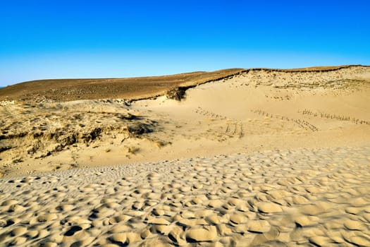 View of beautiful nordic dunes of Curonian spit, Nida, Lithuania, white sand patterns, footprints, blue sky. Desert and sunshine and some flora.