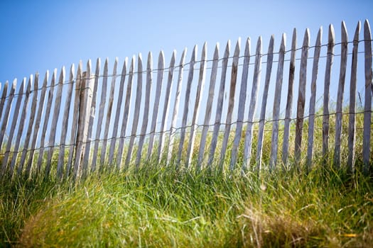Wooden fence, Green Grass and Blue Sky. Horizontal shot