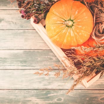 Square Top view of autumn orange pumpkins and dry flowers and grass in box thanksgiving background over blue toned wooden table with copy space. Template for fall harvest mood text