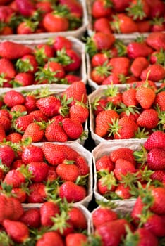 Natural organic strawberries in boxes at a farmers market