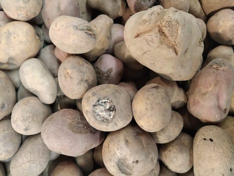 A collection of decaying potatoes is stacked closely together, revealing signs of rot, discoloration, and surface damage in a poorly ventilated area. Mold and scab on tubers. Unsuitable for eating