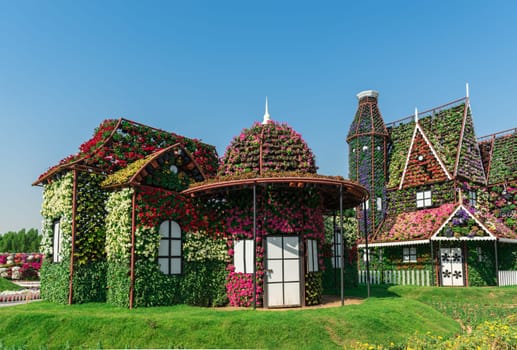 UAE, DUBAI - DECEMBER 30: dubai miracle garden with over million flowers on a sunny day December 30, 2014