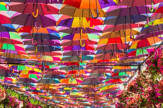 UAE, DUBAI - DECEMBER 30: multicolor umbrellas roof in Dubai miracle garden on December 30, 2014
