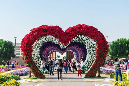 UAE, DUBAI - DECEMBER 30: dubai miracle garden with over million flowers on a sunny day December 30, 2014