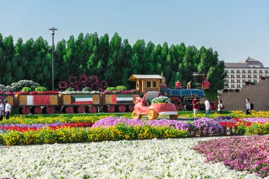 UAE, DUBAI - DECEMBER 30: dubai miracle garden with over million flowers on a sunny day December 30, 2014