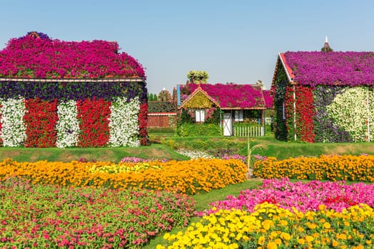 UAE, DUBAI - DECEMBER 30: dubai miracle garden with over million flowers on a sunny day December 30, 2014