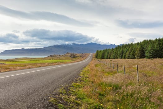 Highway through East Iceland landscape near the sea
