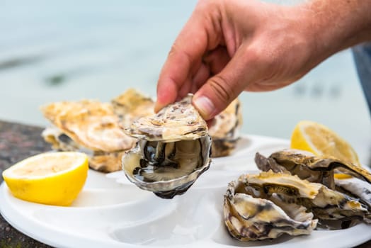 Male hand holding oysters on a plastic plate near the sea