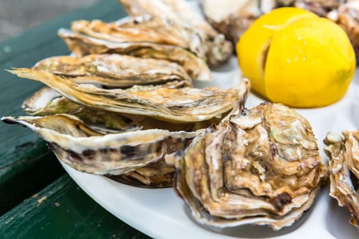 A dozen oysters and a lemon on a plastic plate eating outdoors near the sea