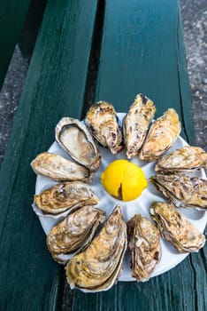 A dozen oysters and a lemon on a plastic plate eating outdoors near the sea