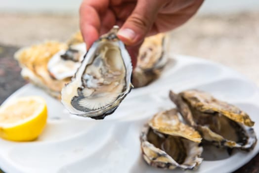Male hand holding oysters on a plastic plate near the sea