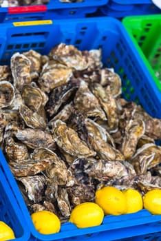 Oysters market in Cancale, Brittany, France. Shot with a selective focus