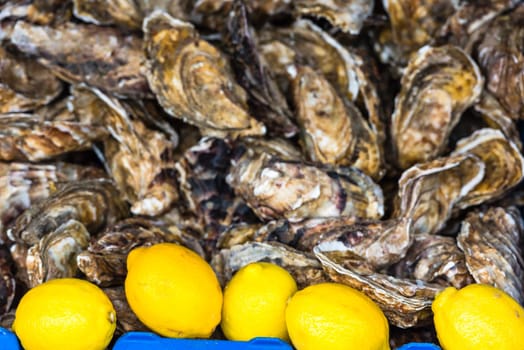 Oysters market in Cancale, Brittany, France. Shot with a selective focus