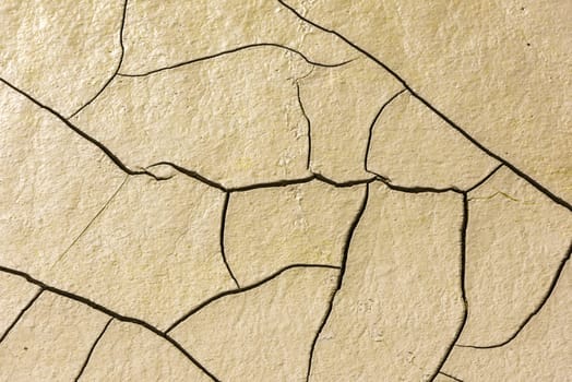 details of a dried cracked earth soil. background