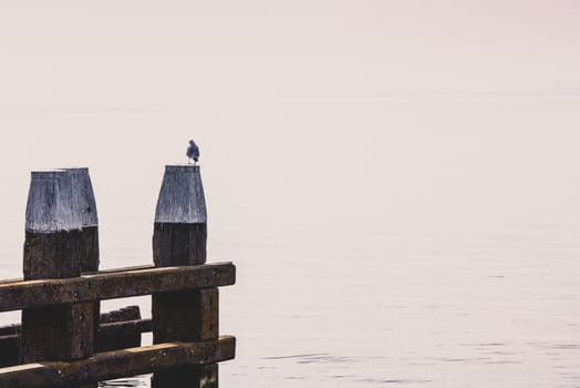 Northern Sea landscape: still water and wooden pier
