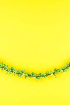 Creative flat lay concept top view of spring blossoming barberry branch with green leaves, barbs and yellow flowers on pastel color paper background with copy space in minimal style, template frame