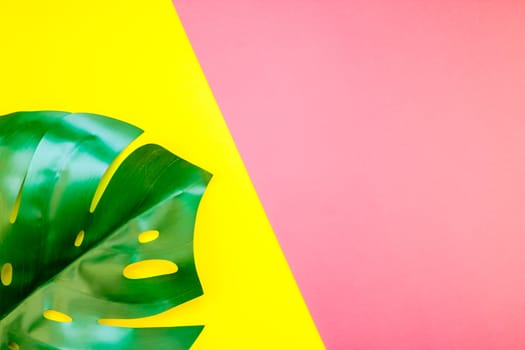 Tropical jungle palm monstera leaves on bright yellow and pink paper background. Summer creative flat lay concept template for text