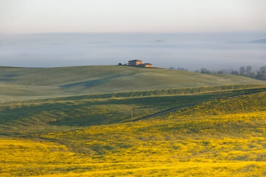 Morning fog view on farmhouse at Valley d?Orcia in Tuscany, Italy.Ê