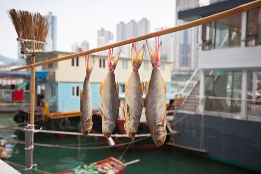 Traditional fishing trawlers in the Aberdeen bay, famous floating village in Hong Kong