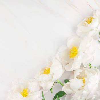 Beautiful blooming white peony flowers on marble background with copy space in minimal style, square template for postcard, text or your design. Wedding invitation and celebration greeting concept