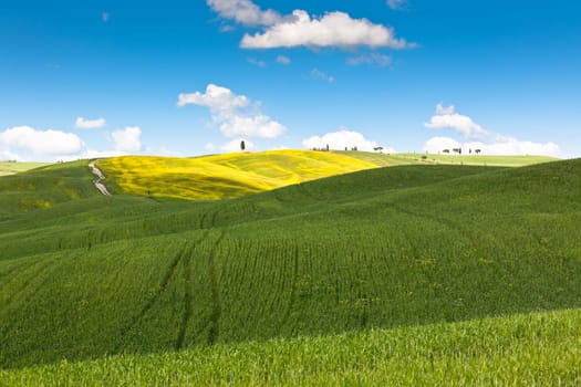 Outdoor Tuscan Val d'Orcia green and yellow fields view with blue sky.