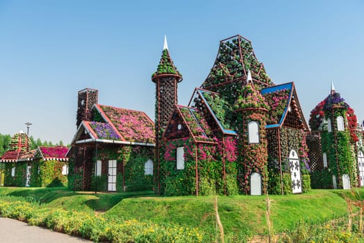 UAE, DUBAI - DECEMBER 30: dubai miracle garden with over million flowers on a sunny day December 30, 2014