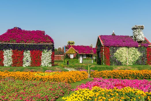 UAE, DUBAI - DECEMBER 30: dubai miracle garden with over million flowers on a sunny day December 30, 2014