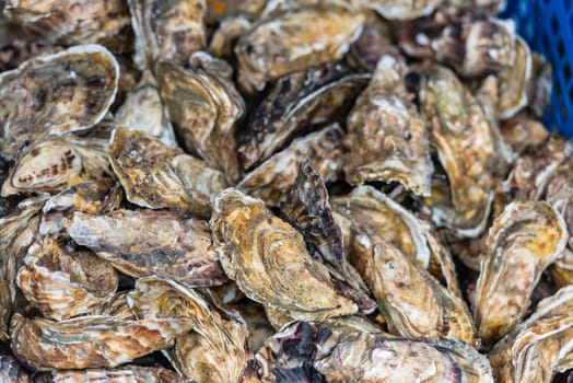 Oysters market in Cancale, Brittany, France. Shot with a selective focus