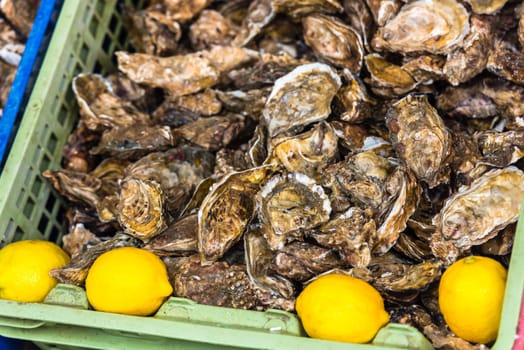 Oysters market in Cancale, Brittany, France. Shot with a selective focus