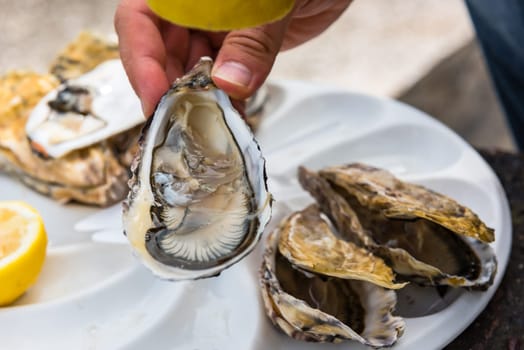 Male hand holding oysters on a plastic plate near the sea