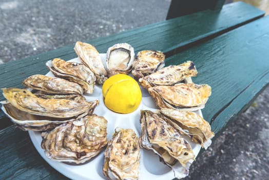 A dozen oysters and a lemon on a plastic plate eating outdoors near the sea