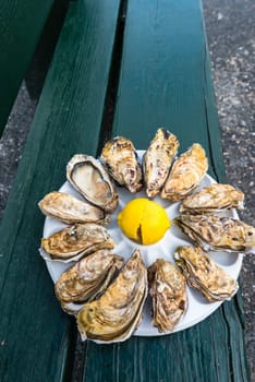 A dozen oysters and a lemon on a plastic plate eating outdoors near the sea