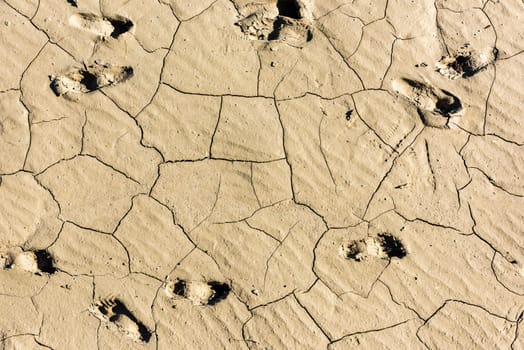 details of a dried cracked earth soil. background