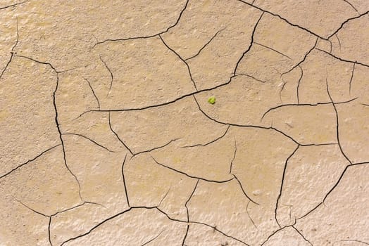 details of a dried cracked earth soil. background