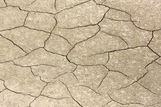 details of a dried cracked earth soil. background