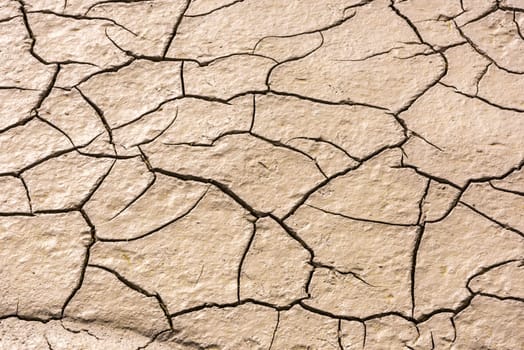 details of a dried cracked earth soil. background