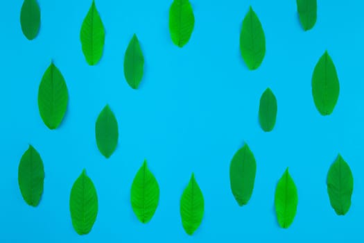 Creative flat lay top view pattern with fresh green leaves on bright blue background with copy space in minimal pop art style, template for text