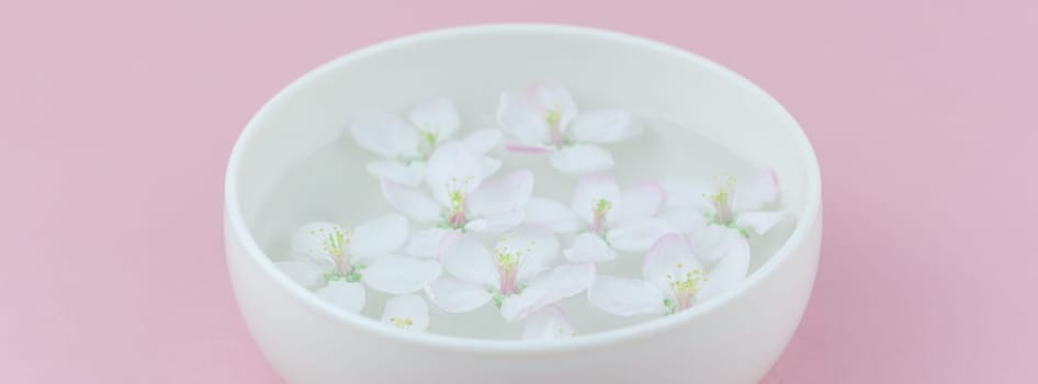 Close up of white spring blossoming apple tree flowers floating in aroma bowl of water. Spa and wellness concept. Long wide banner