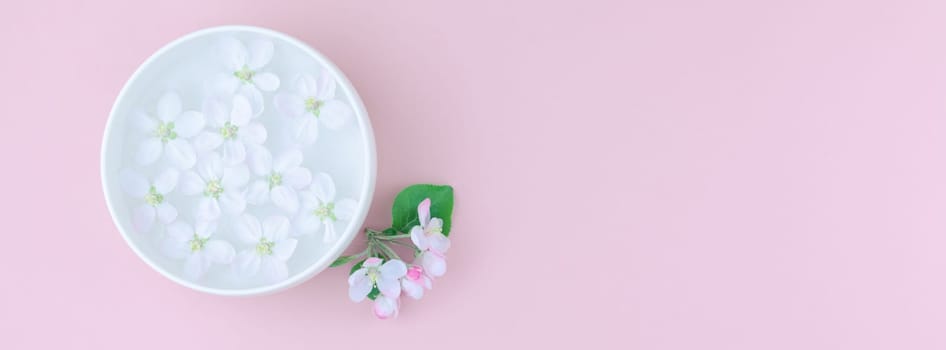 Creative flat lay concept top view of aroma bowl with water and white spring blossoming apple tree flowers on pastel pink paper background with copy space in minimal style, long wide banner