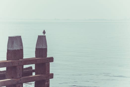 Northern Sea landscape: still water and wooden pier