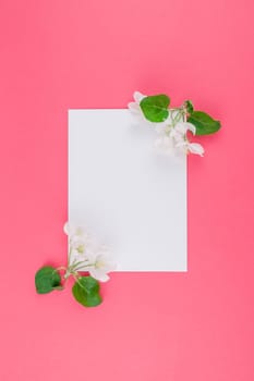 Creative flat lay concept top view of blank postcard frame mock up and apple tree flowers petals on pastel pink background with copy space in minimal style, template for lettering, text or your design