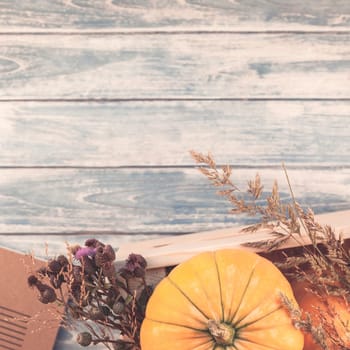 Square Top view of autumn orange pumpkins and dry flowers and grass in box thanksgiving background over blue toned wooden table with copy space. Template for fall harvest mood text