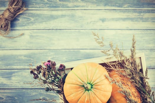 Top view of autumn orange pumpkins and dry flowers and grass in box thanksgiving background over blue toned wooden table with copy space. Template for fall harvest mood text
