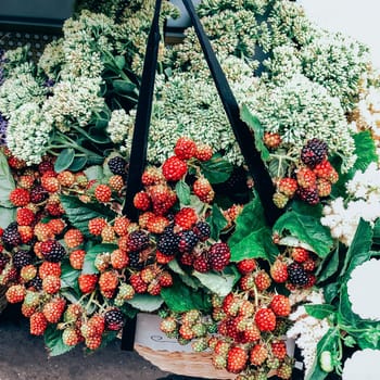 Beautiful fresh decorative greenery, branches of blackberry in small florist shop. Modern style flowers arrangement in lifestyle natural light composition. Small business. Mobile photo