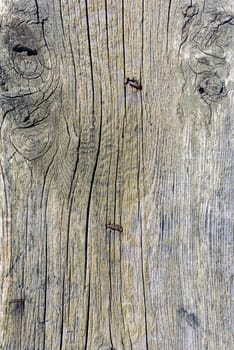 Old wooden planks surface background. shabby texture