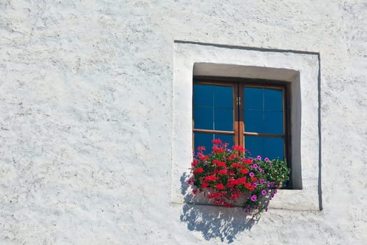 Window with flowerpots and colorful flower on a white wall