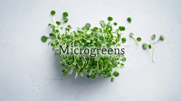 Microgreens sprouts background, concept of healthy eating, copy space, AI Generated